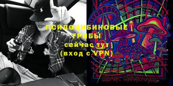 гидра Армянск