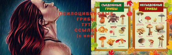 гидра Армянск