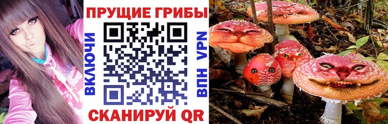 Псилоцибиновые грибы MAGIC MUSHROOMS  Дагестанские Огни 