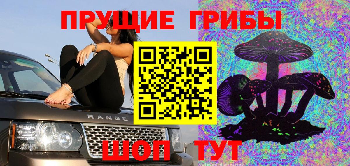 Псилоцибиновые грибы MAGIC MUSHROOMS  Вход с VPN  Дагестанские Огни 