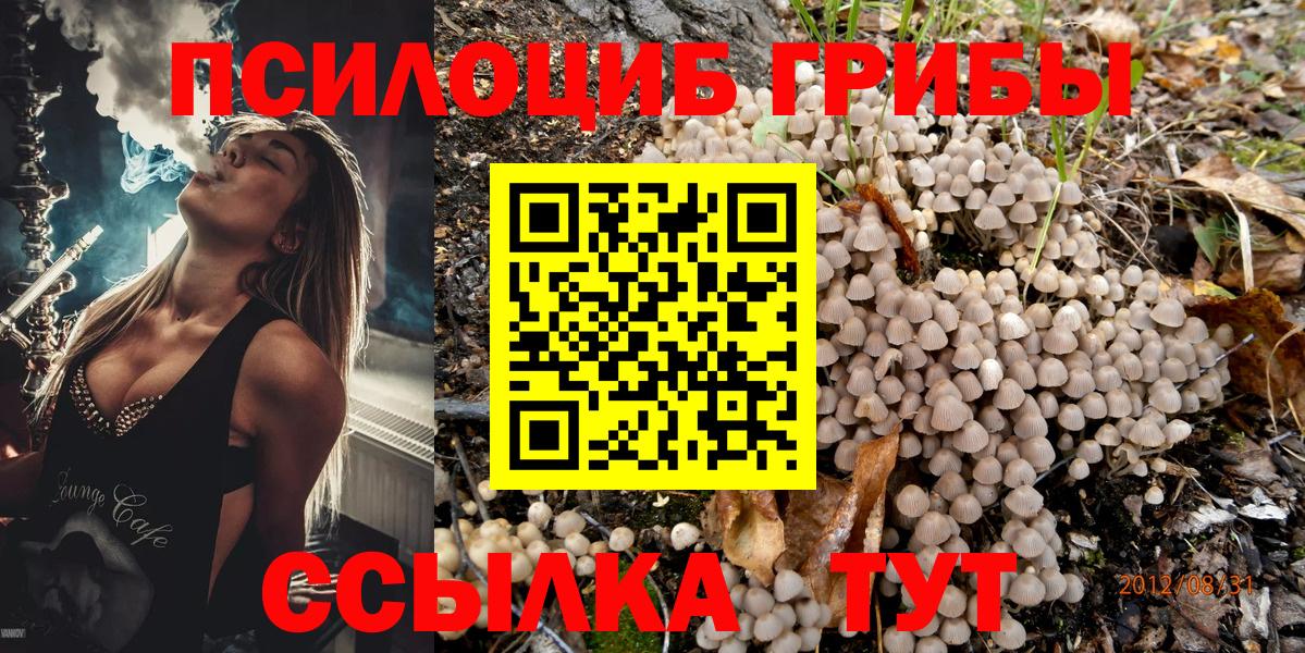Галлюциногенные грибы MAGIC MUSHROOMS Дагестанские Огни