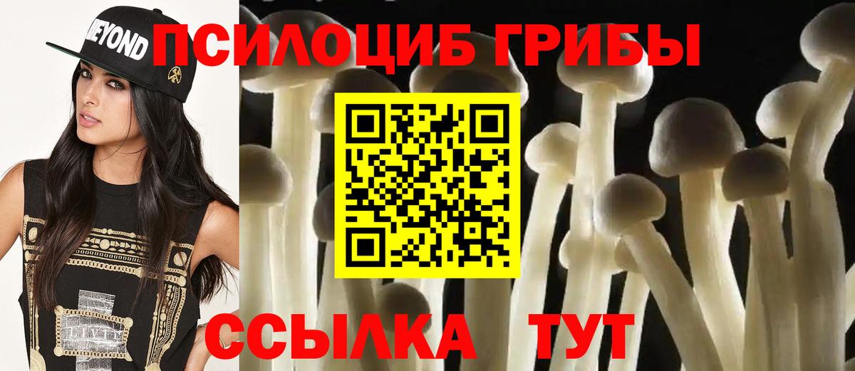 Галлюциногенные грибы Psilocybe Дагестанские Огни